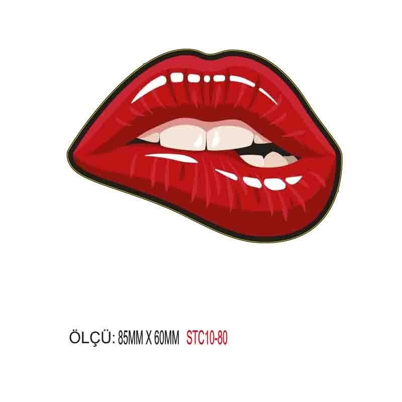 MOTOSİKLET GRENAJ EKİPMAN STİCKER 10'LU PAKET