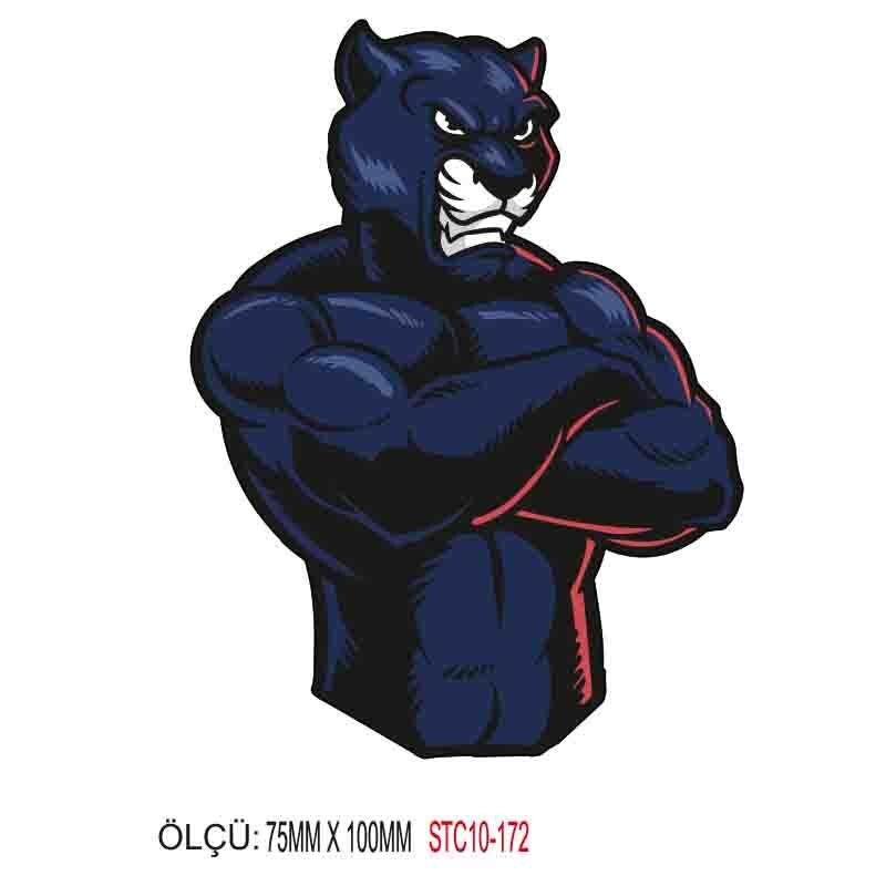 MOTOSİKLET GRENAJ EKİPMAN STİCKER 10'LU PAKET