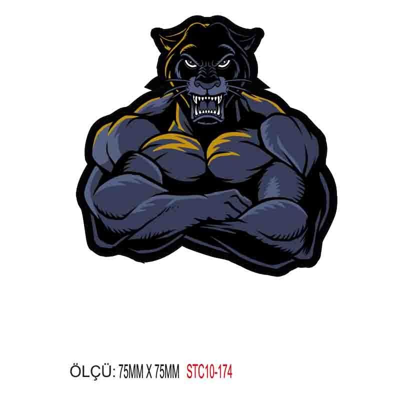 MOTOSİKLET GRENAJ EKİPMAN STİCKER 10'LU PAKET