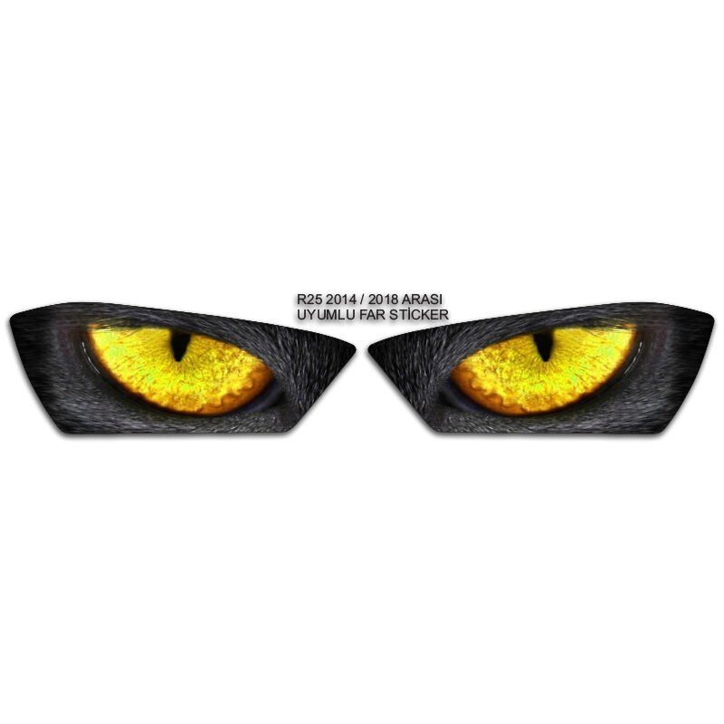 R25 2014 - 2018 UYUMLU FAR STİCKER