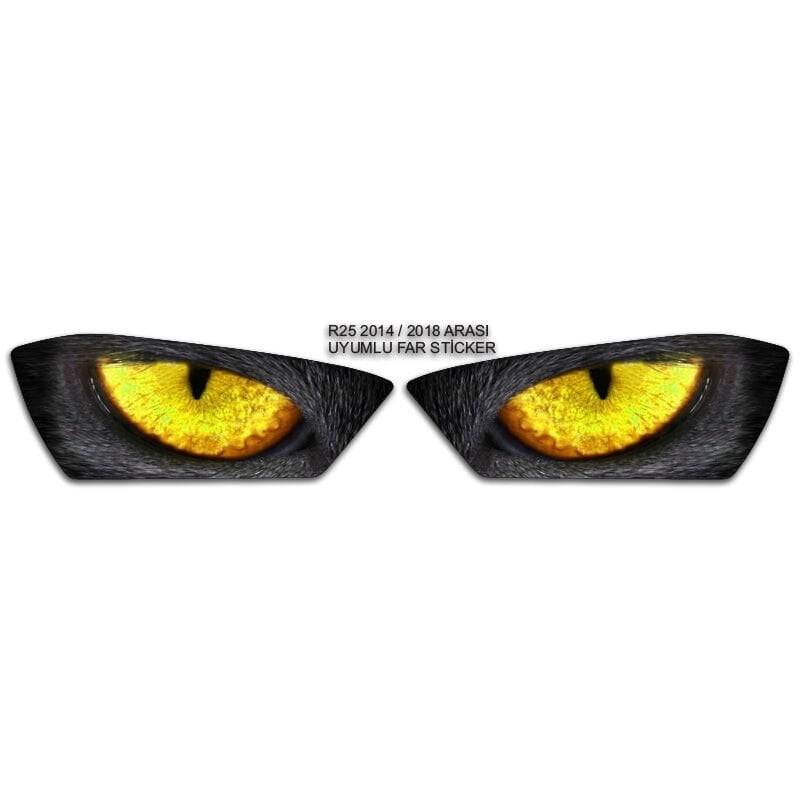 R25 2014 - 2018 UYUMLU FAR STİCKER