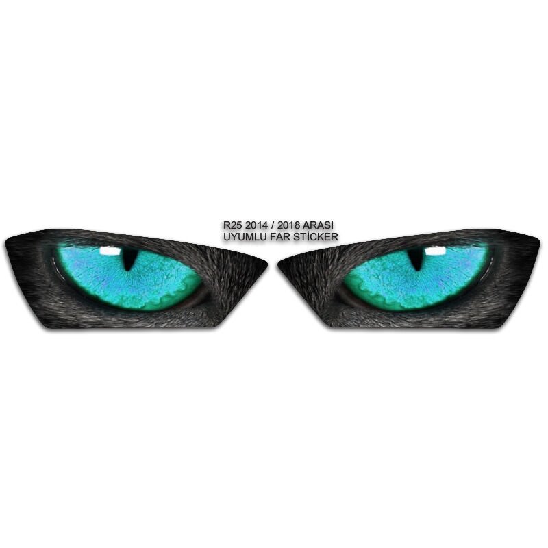 R25 2014 - 2018 UYUMLU FAR STİCKER