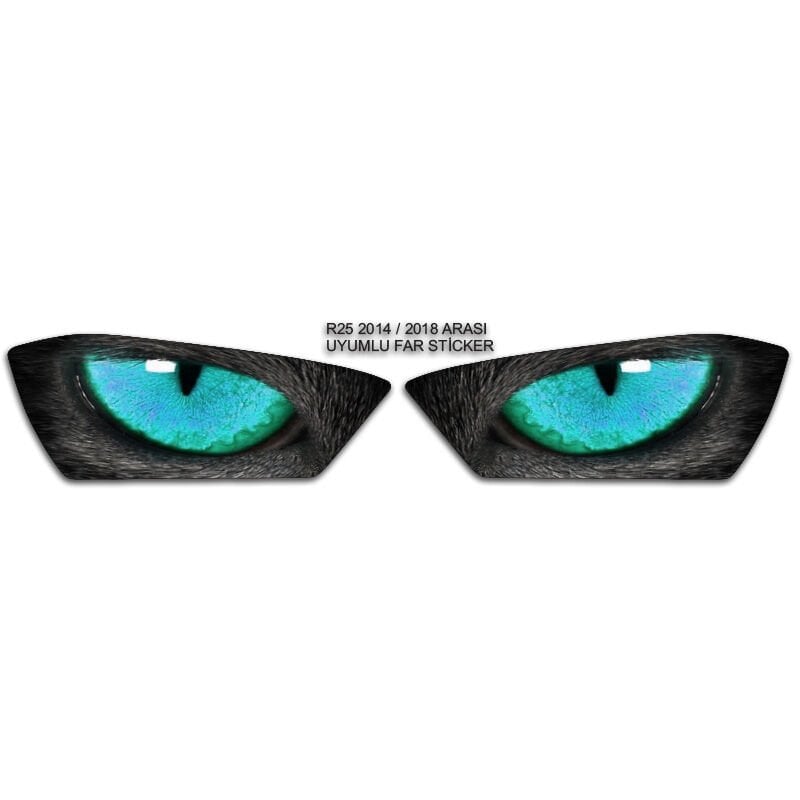 R25 2014 - 2018 UYUMLU FAR STİCKER