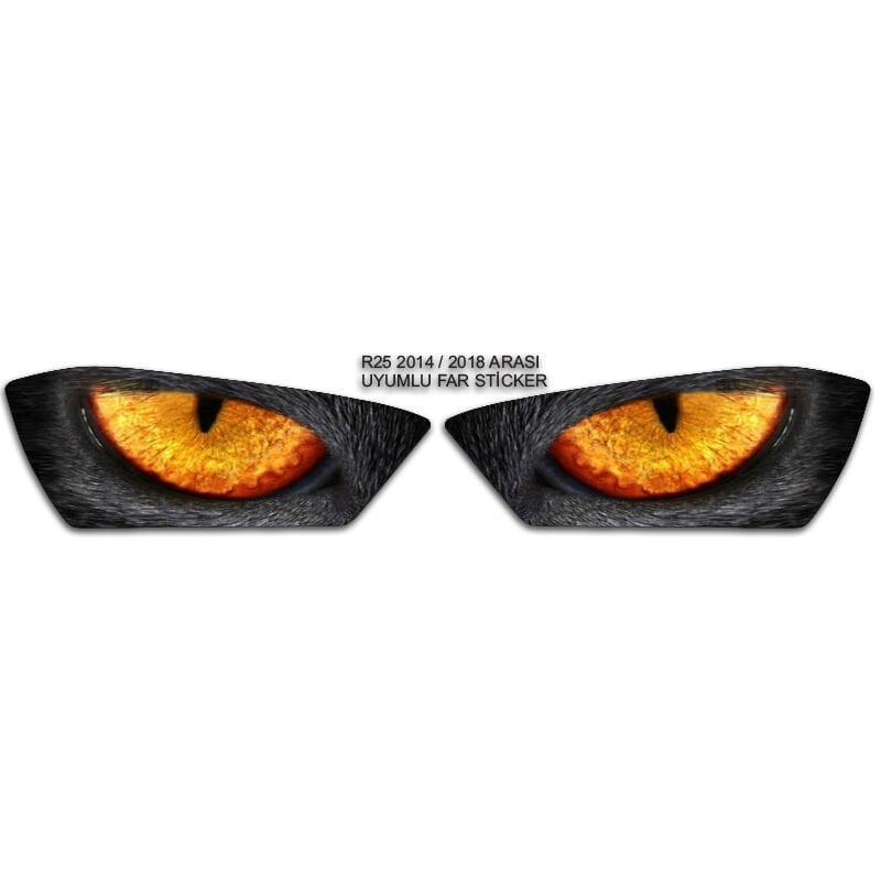 R25 2014 - 2018 UYUMLU FAR STİCKER
