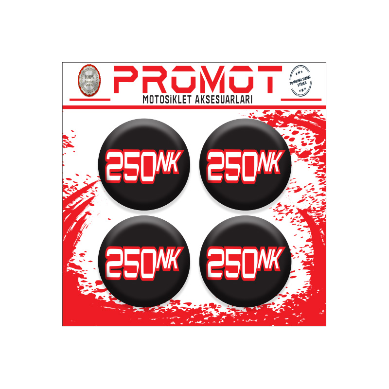 CFMOTO 250 NK KORUMA TAKOZU LOGOSU 2