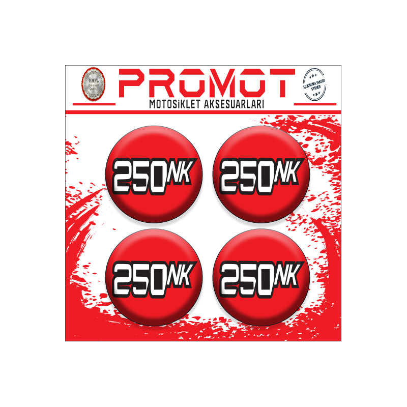 CFMOTO 250 NK KORUMA TAKOZU LOGOSU 4