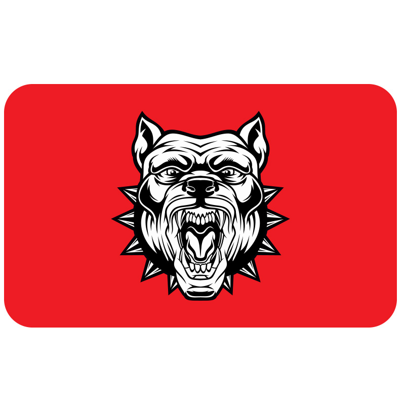 CG FAR FİLMİ 5'Lİ PAKET 017