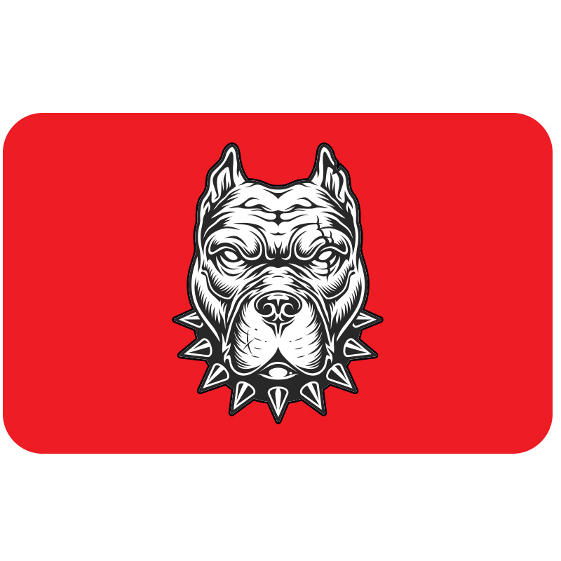 CG FAR FİLMİ 5'Lİ PAKET 019