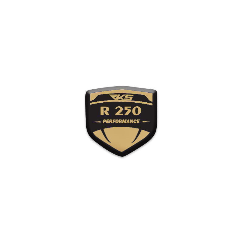 RKS R250 LOGOLU 3D KABARTMALI SİPERLİK CAMI STİCKER 6